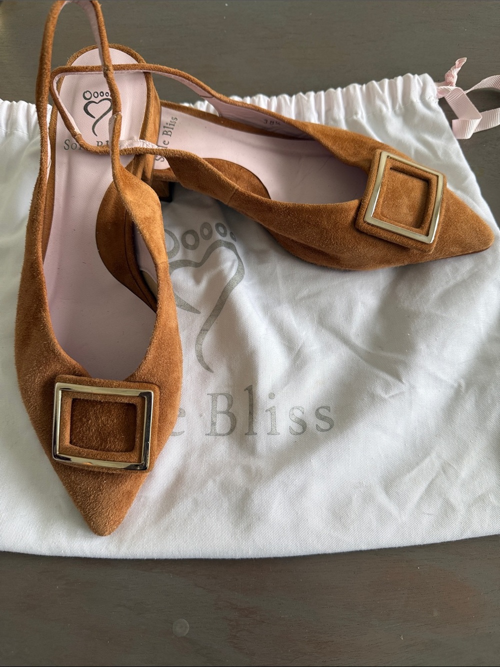 Suede Pointed Slingback Flats with Decorative Buckle — Tan